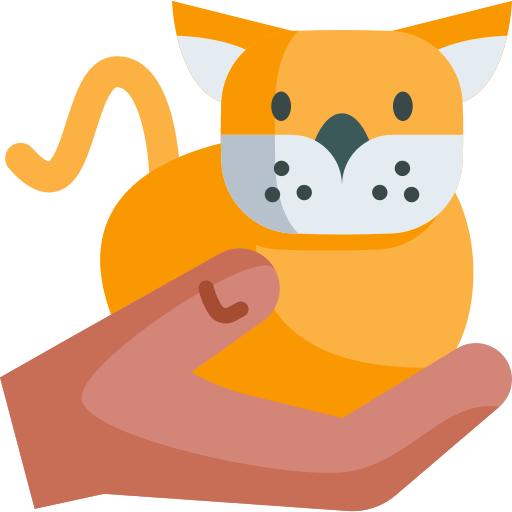 Pets and Animals