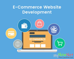 Ecommerce development company