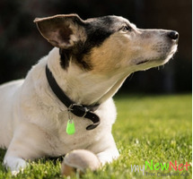 Smart Bluetooth Tracker FOR SALE
