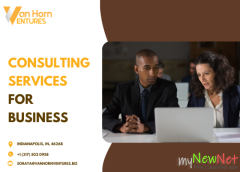 Business Management Consulting Service Call +1 (317) 502 0958