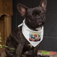 Floral Design Dog Bandana