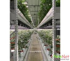 RIOCOCO MMJ’s coco coir makes hydroponics for weeds easier