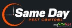 Quick and Effective Possum Removal Brisbane Services