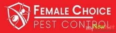 Possum Catcher Brisbane - Female Choice Pest Control