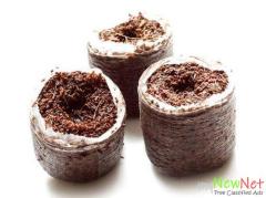 RIOCOCO offers an eco-friendly way of aquaculture with coconut fiber hydroponics